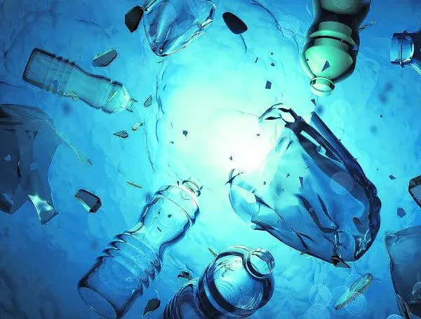 WhatsApp Image 2025-06-30 at 20.17.51