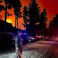 WhatsApp Image 2026-01-29 at 12.50.41