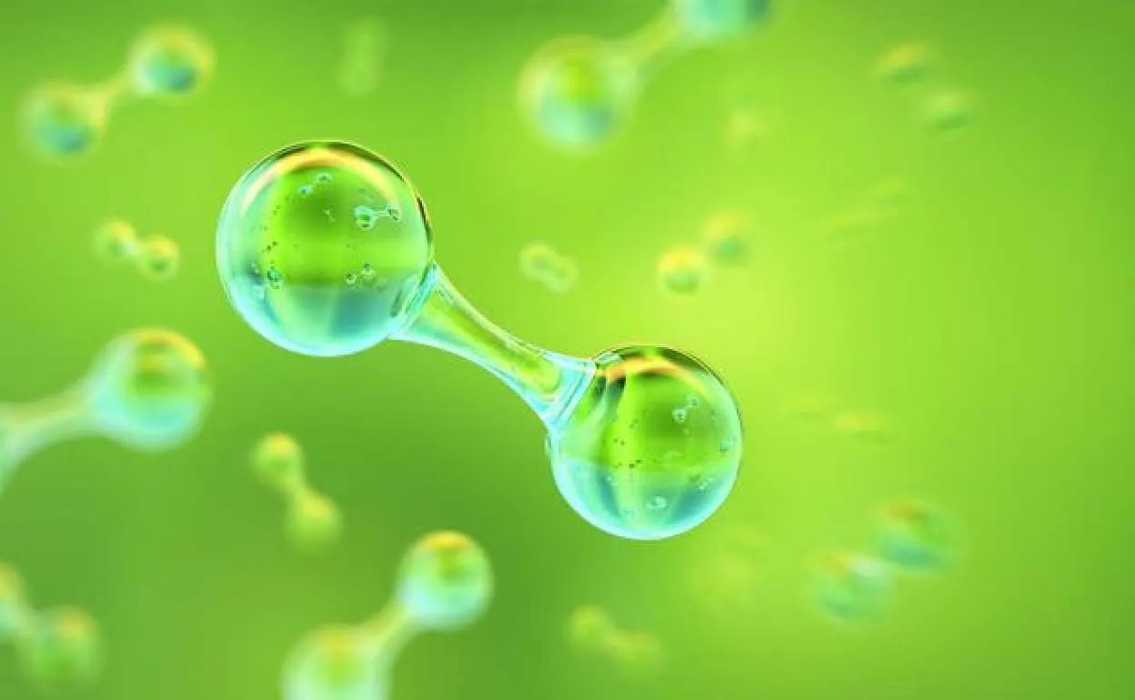 Imagen de WhatsApp 2025-01-05 a las 17.13.35_7b184a9c