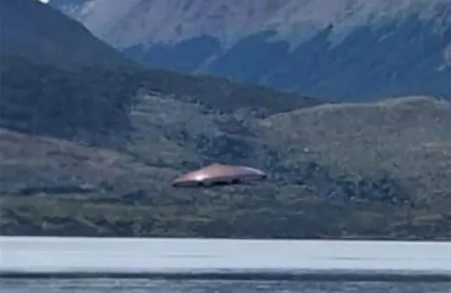 Imagen de WhatsApp 2025-02-27 a las 17.52.32_cb13d0d3