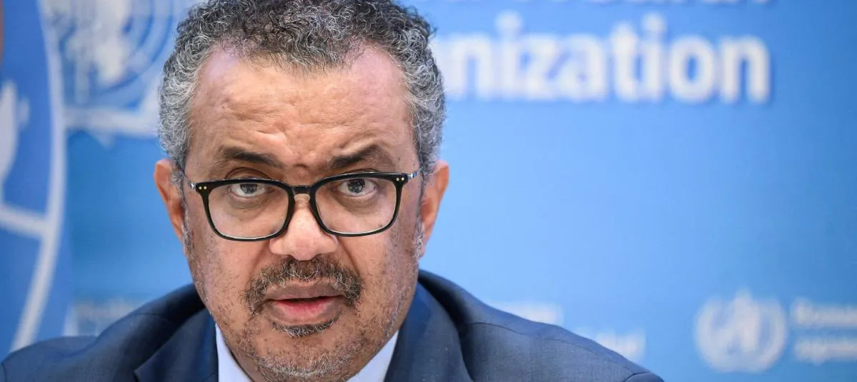 WhatsApp Image 2025-03-31 at 01.36.32