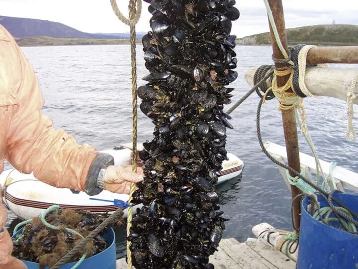 WhatsApp Image 2025-09-13 at 23.46.51