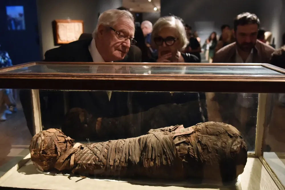 WhatsApp Image 2025-11-23 at 17.51.13