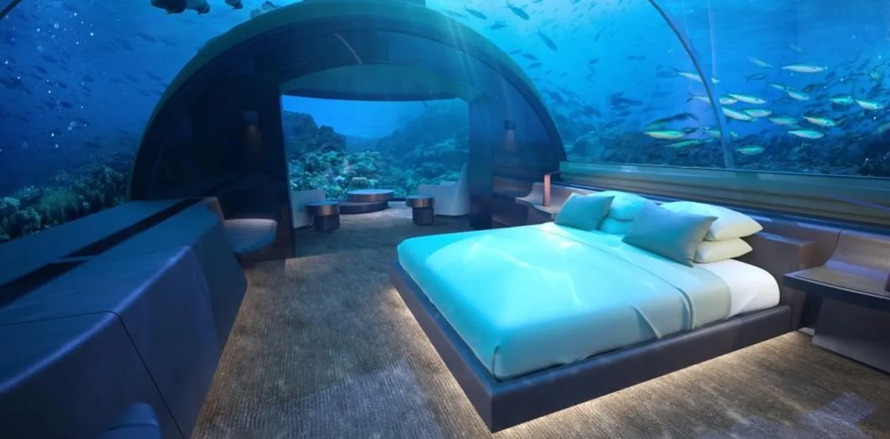 WhatsApp Image 2025-10-14 at 23.25.51