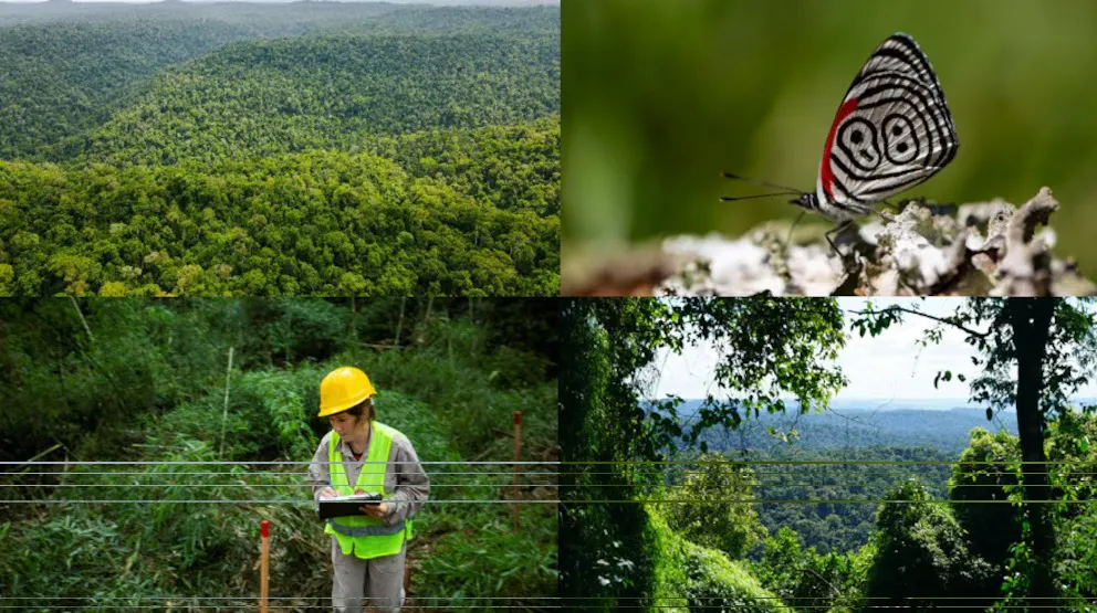 Imagen de WhatsApp 2025-11-12 a las 23.25.20_71437033