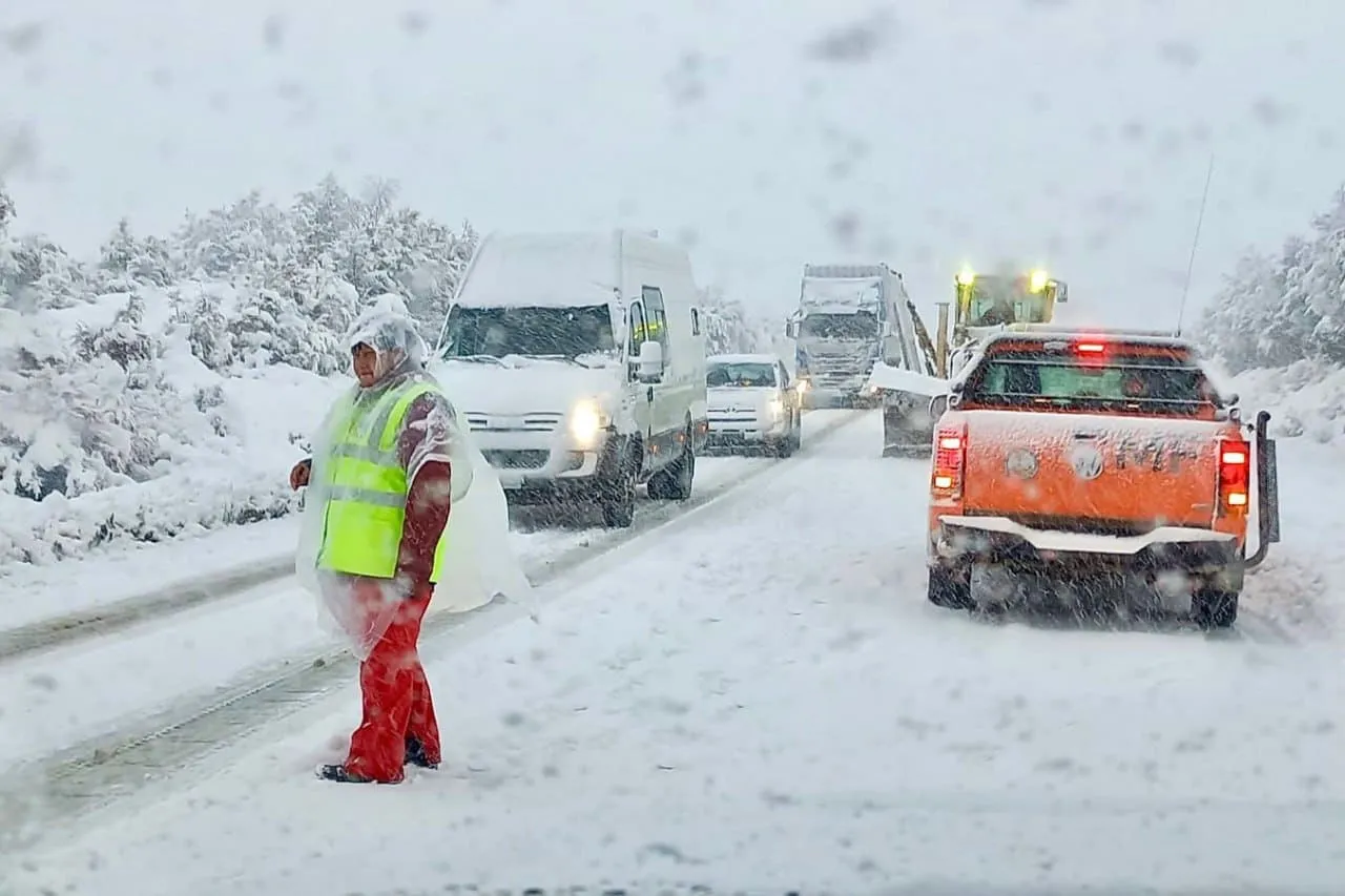 nieve tdf