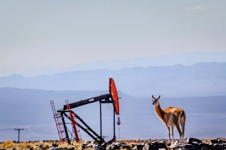 Imagen de WhatsApp 2025-04-01 a las 07.28.13_716efd2c