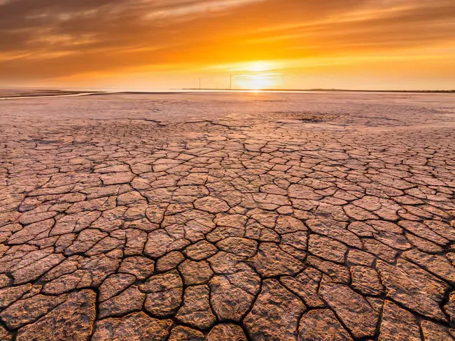 Imagen de WhatsApp 2024-07-30 a las 11.23.09_eb12affa