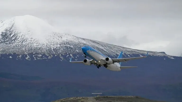 WhatsApp Image 2025-07-20 at 16.09.33