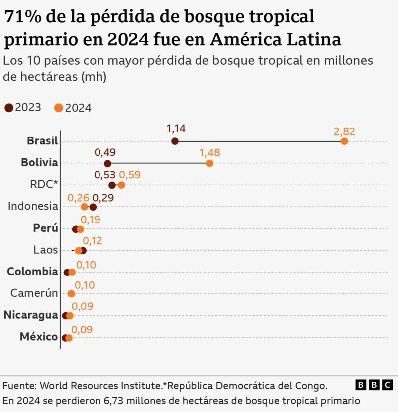 WhatsApp Image 2025-05-30 at 13.53.01