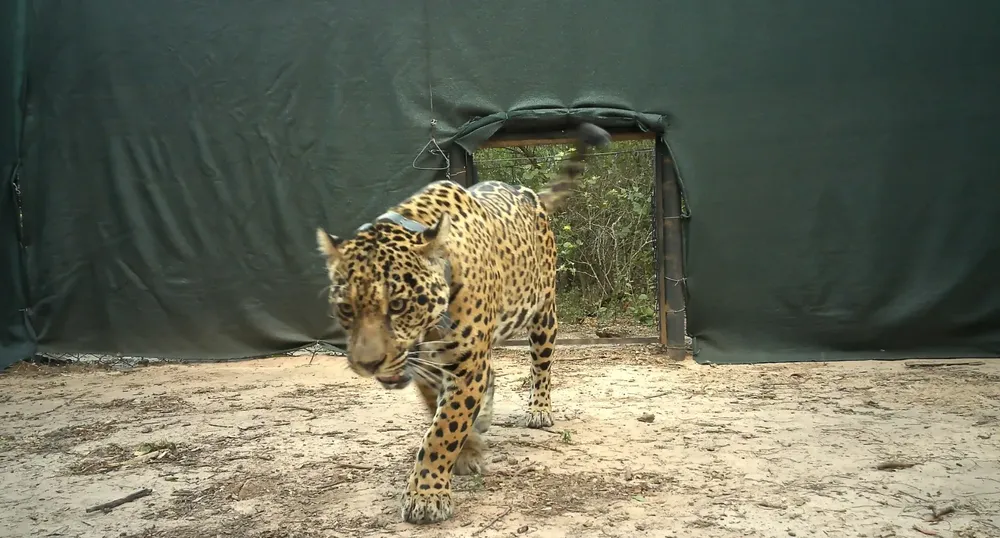 WhatsApp Image 2025-11-15 at 20.30.33