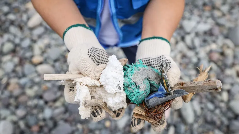 WhatsApp Image 2025-06-20 at 17.47.59