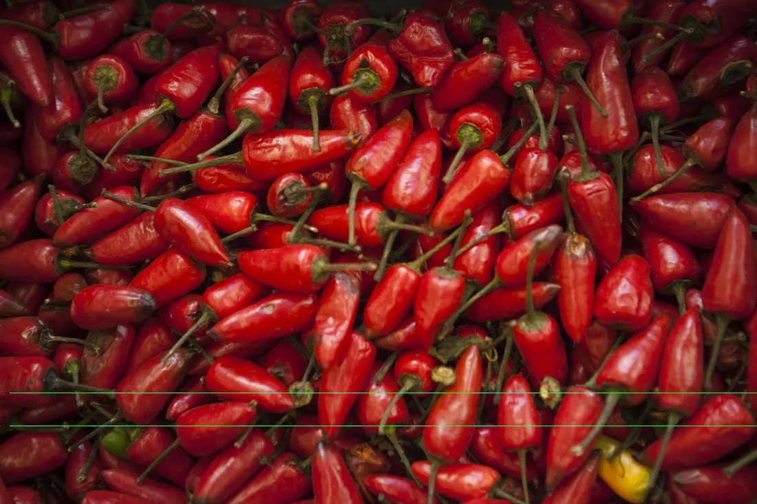 Imagen de WhatsApp 2025-10-28 a las 23.07.53_0169b30d