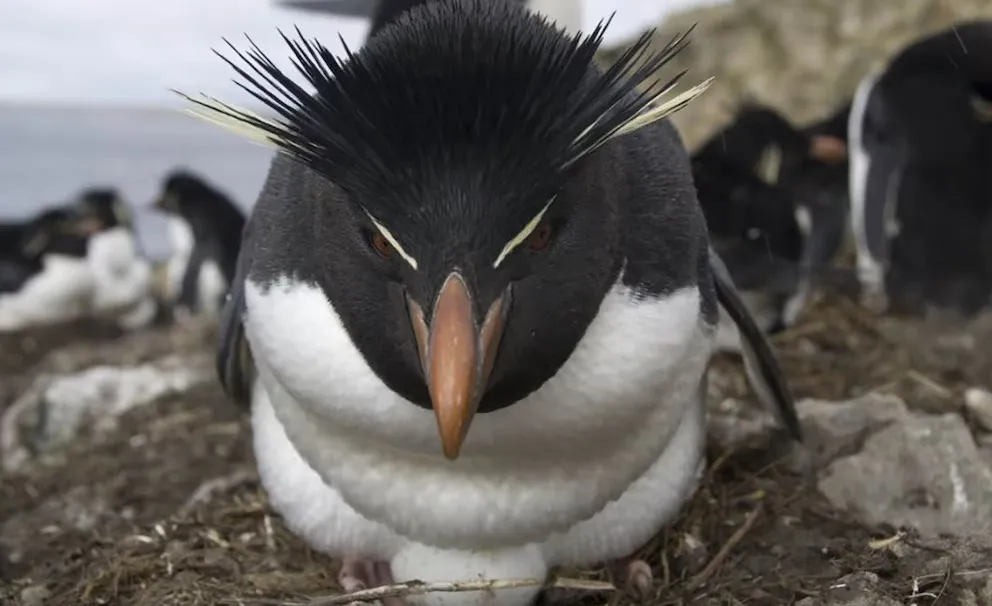 Imagen de WhatsApp 2025-04-30 a las 14.27.05_be3c9a19