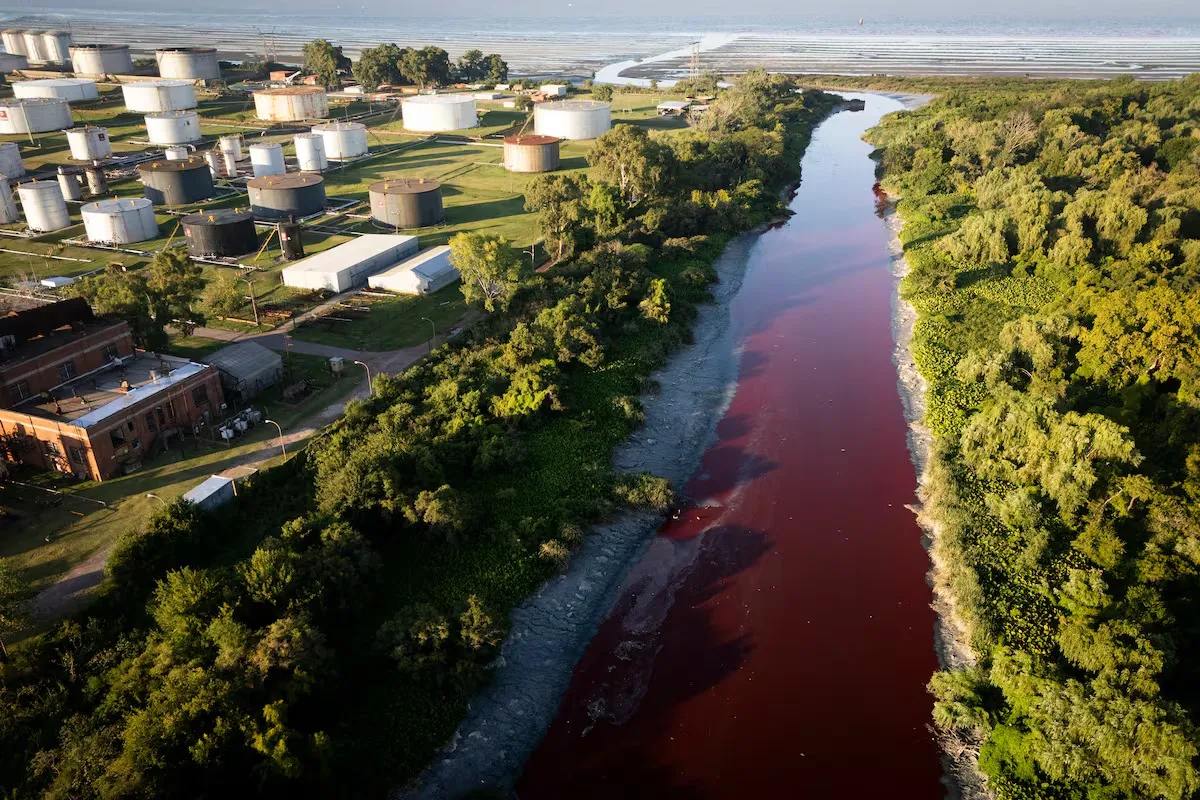 Imagen de WhatsApp 2025-11-12 a las 23.34.32_77163347