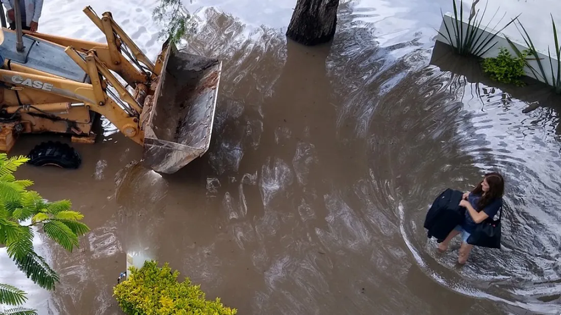 Imagen de WhatsApp 2025-11-12 a las 23.15.26_f03b5c2a