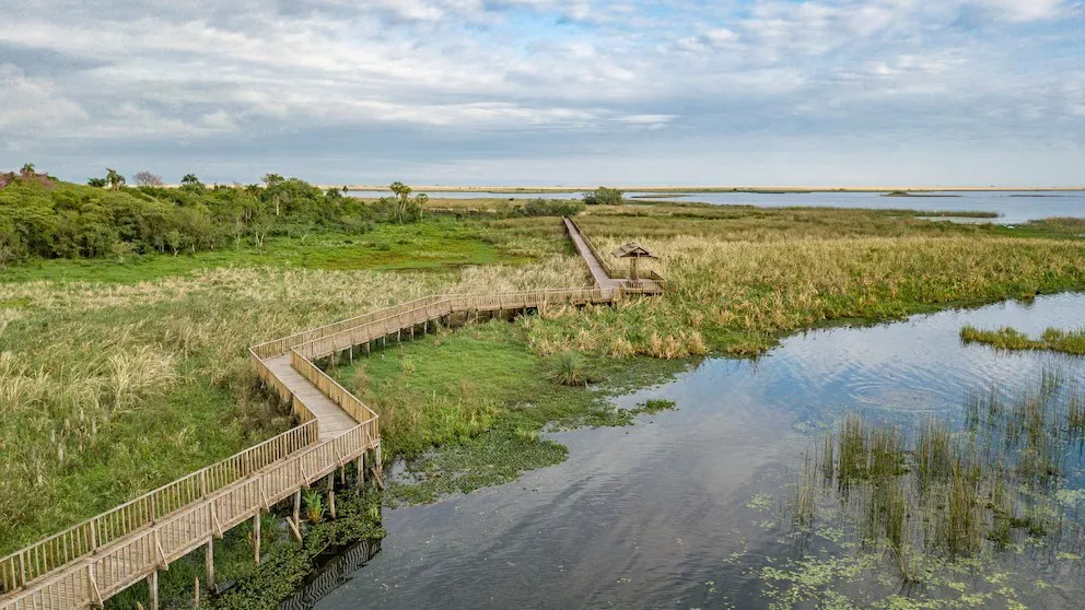 WhatsApp Image 2025-10-18 at 17.39.14