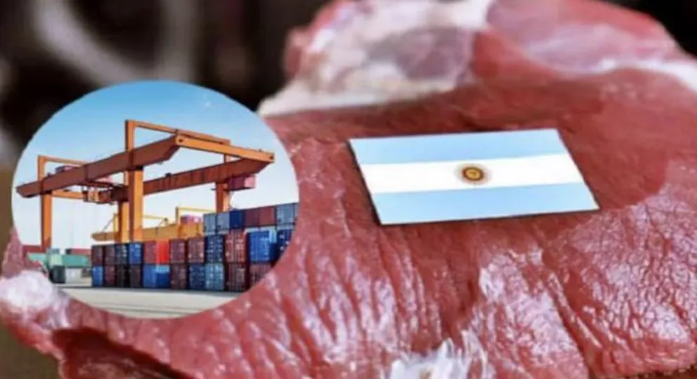 WhatsApp Image 2025-09-14 at 00.18.05