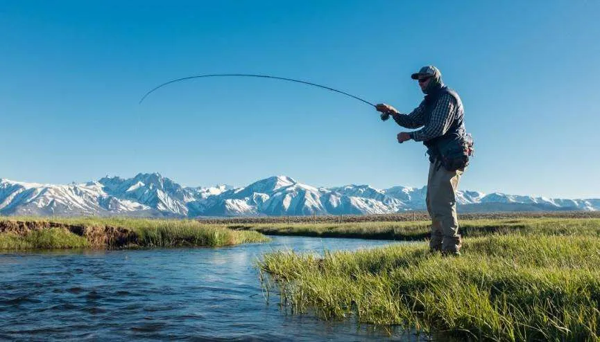 Imagen de WhatsApp 2024-11-02 a las 11.20.06_8413cb44