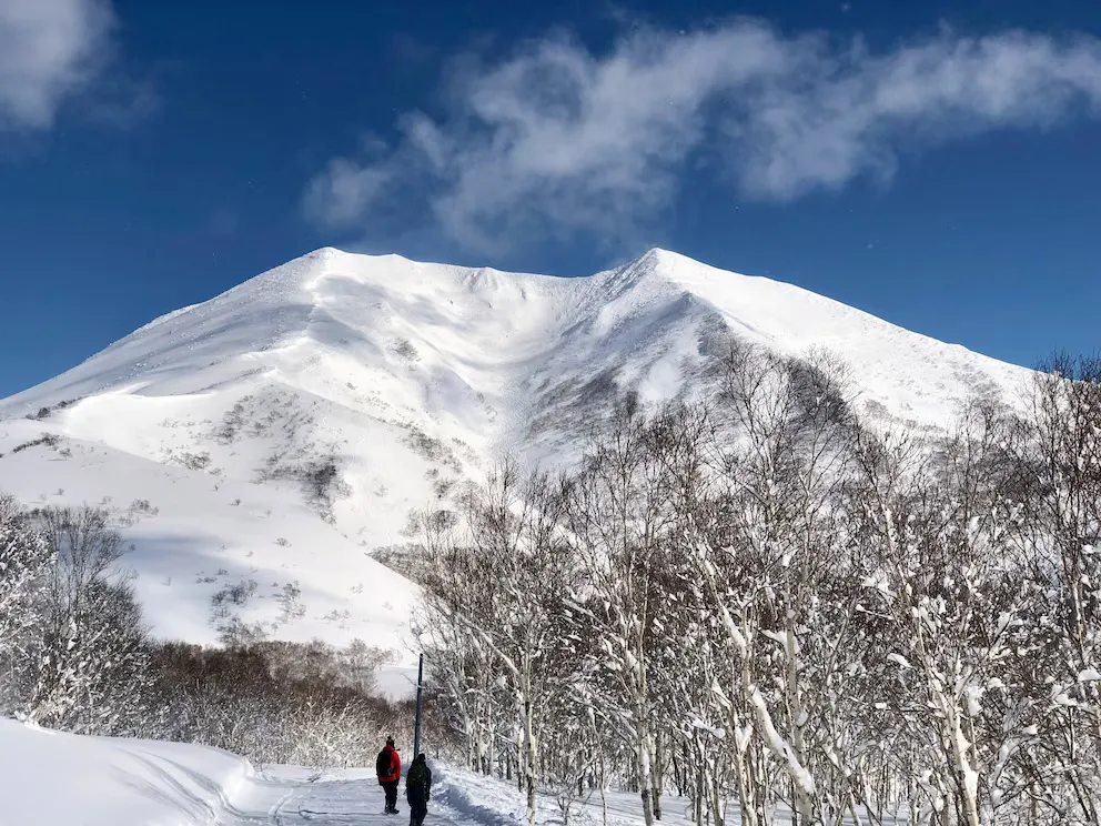 3330644A-8C2F-4ACE-9CB1-FFDCD6AAAE7A