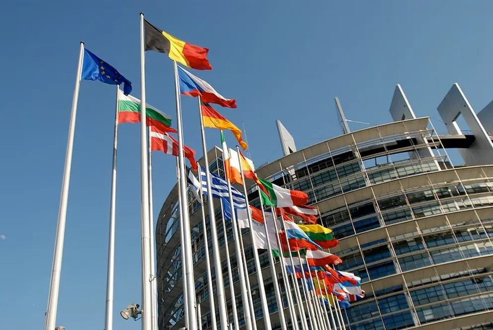 WhatsApp Image 2026-02-17 at 23.26.55