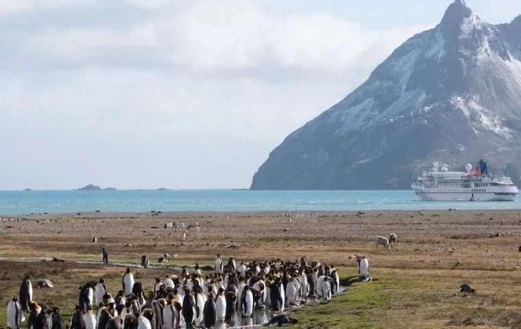 islas georgias del sur