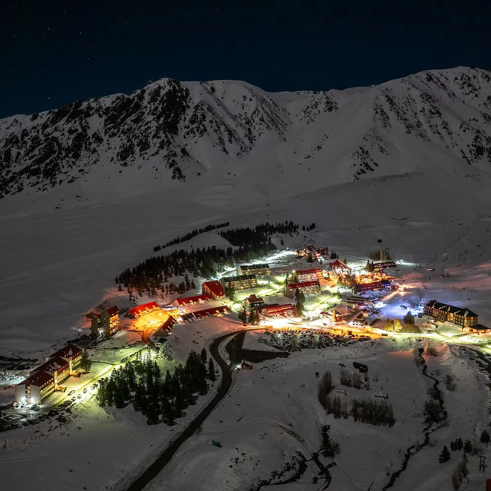 938C667D-78DF-4F4D-8648-800D04A9CD73