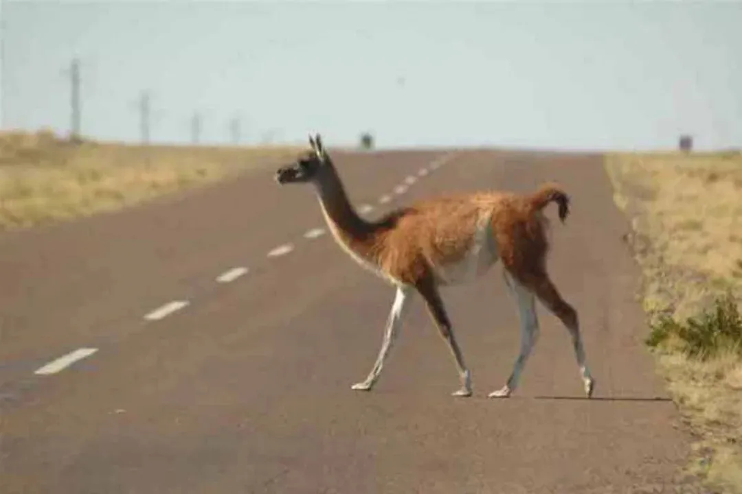 Imagen de WhatsApp 2025-02-27 a las 17.50.15_e13102de