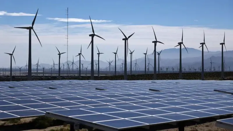 WhatsApp Image 2025-10-14 at 23.09.41