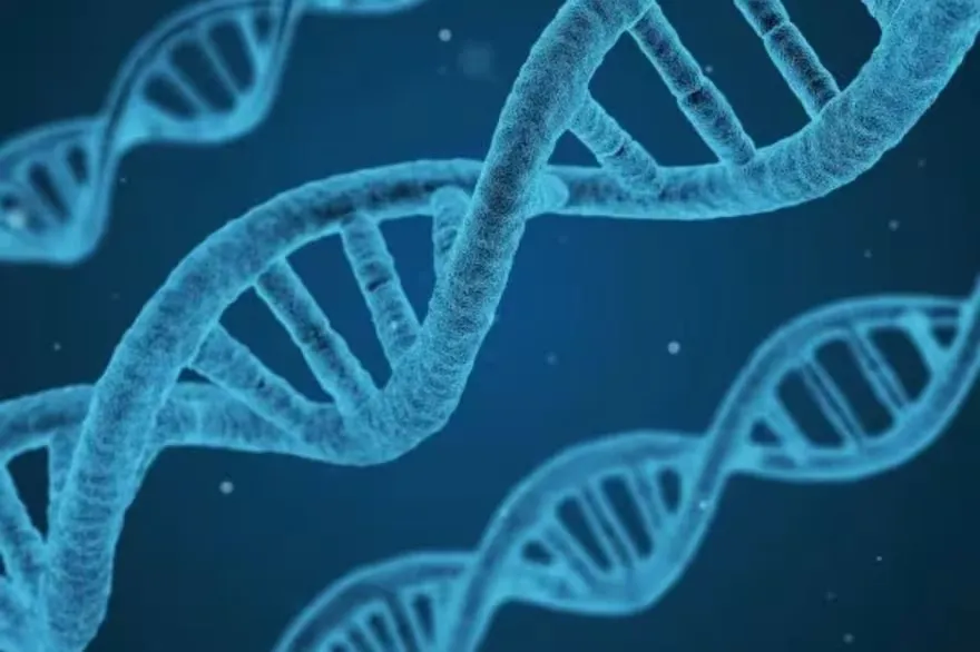 WhatsApp Image 2025-06-30 at 20.24.59 (1)