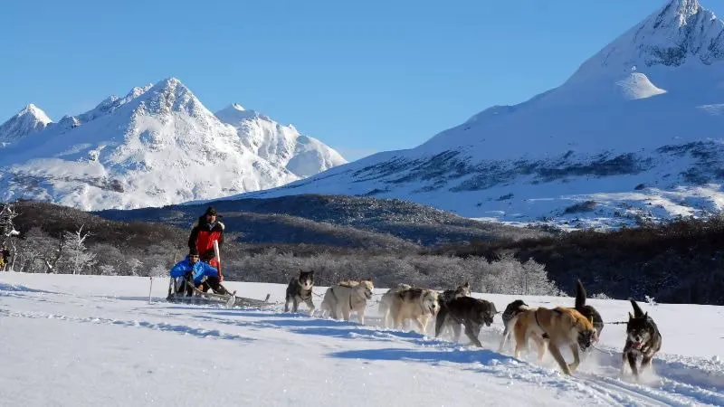 turismo ushuaia perros