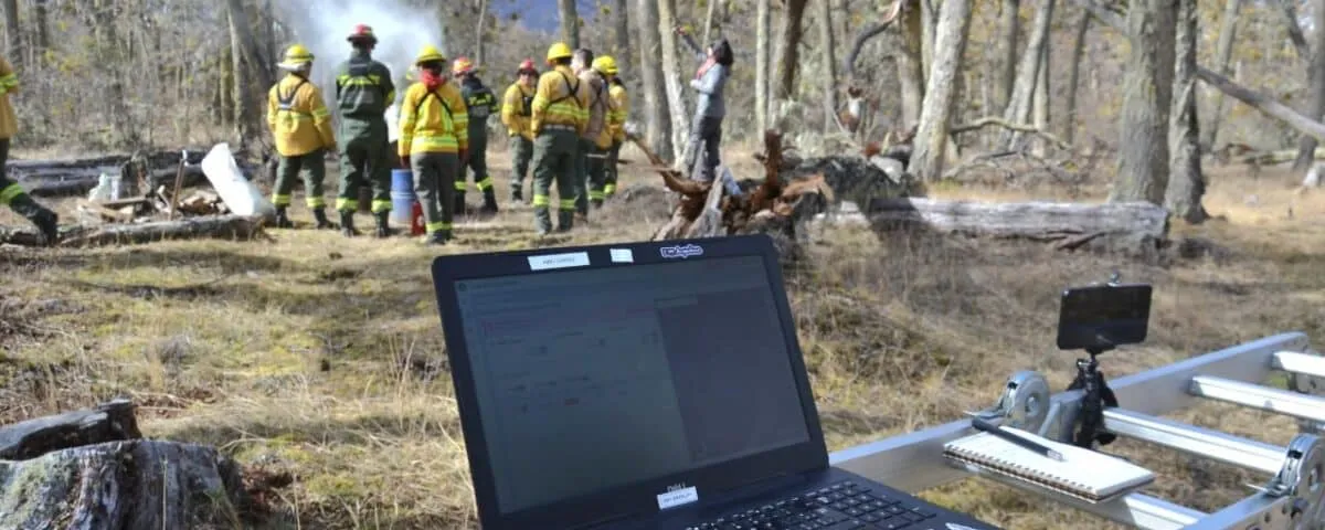 Imagen de WhatsApp 2024-10-14 a las 08.12.20_86a75dd4