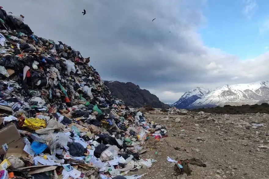 WhatsApp Image 2025-10-28 at 23.22.35