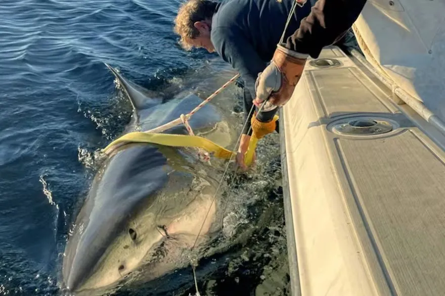 WhatsApp Image 2025-10-14 at 23.19.56