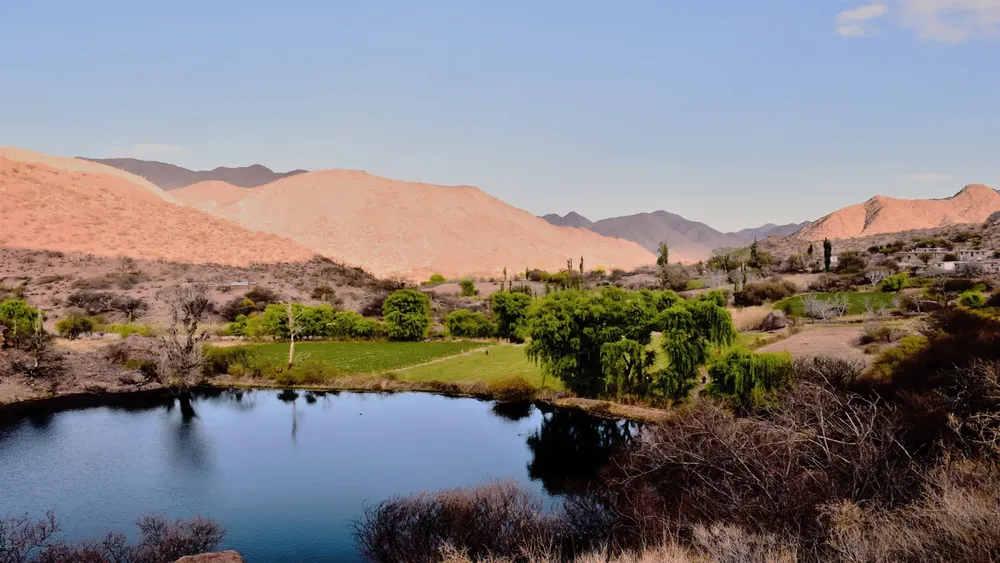 WhatsApp Image 2025-05-24 at 16.18.17