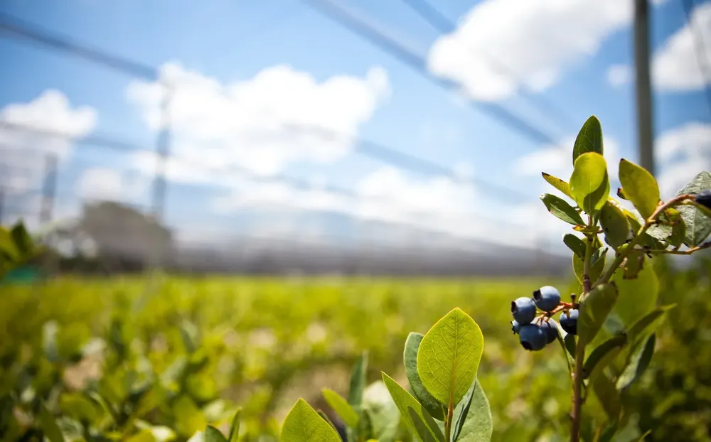 WhatsApp Image 2025-08-31 at 14.53.54