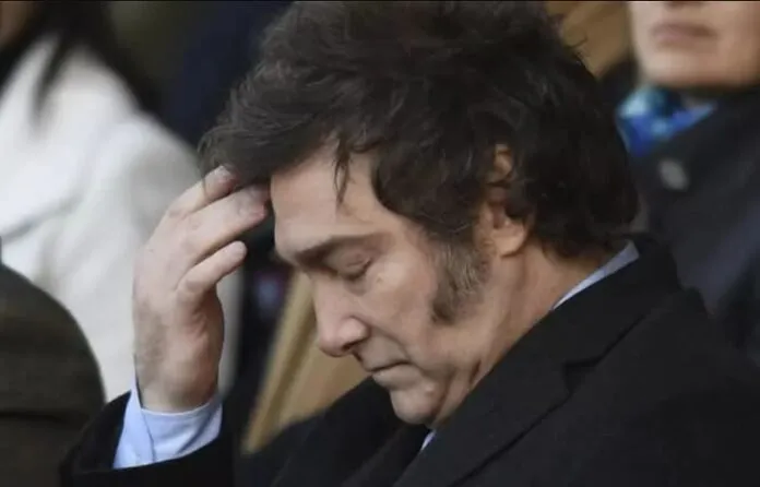 WhatsApp Image 2025-09-14 at 00.19.21