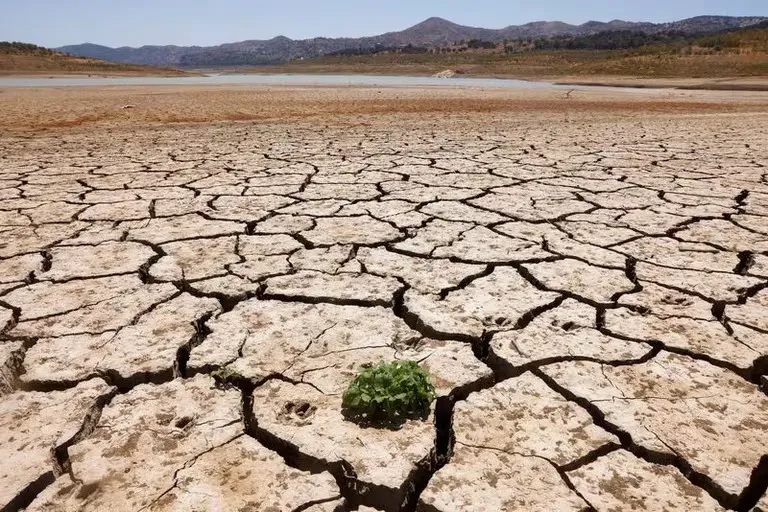 cambio climatico sequia