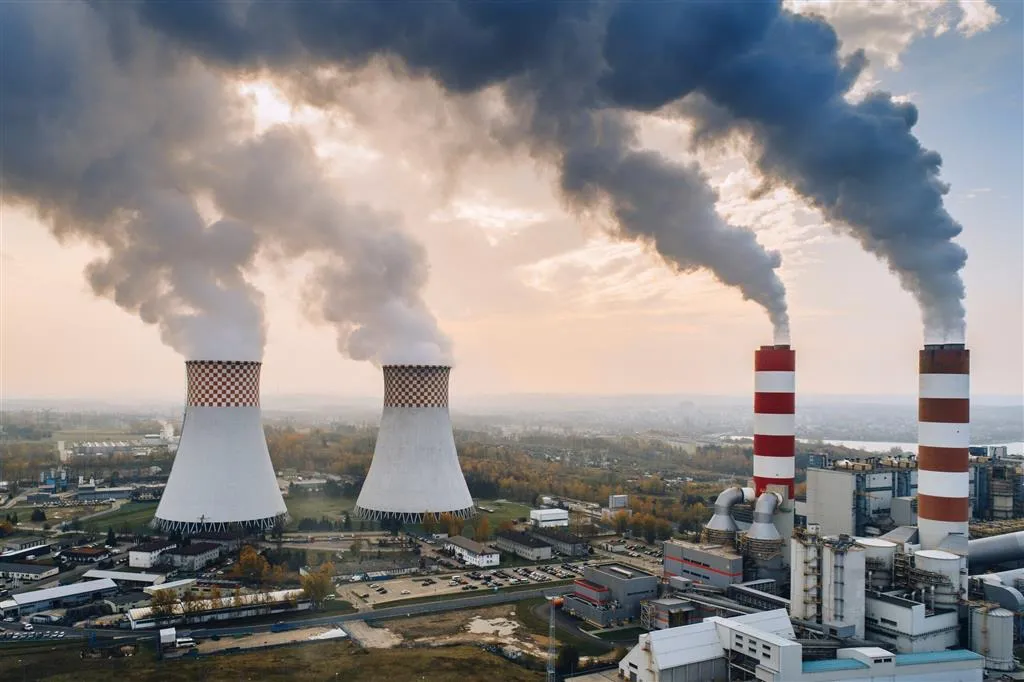 WhatsApp Image 2025-04-19 at 14.41.01