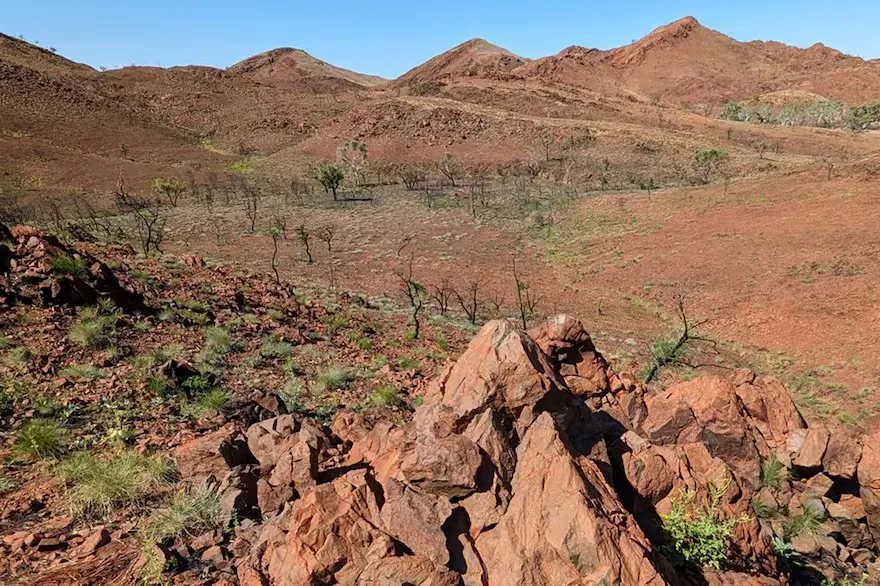 WhatsApp Image 2025-03-31 at 01.29.23