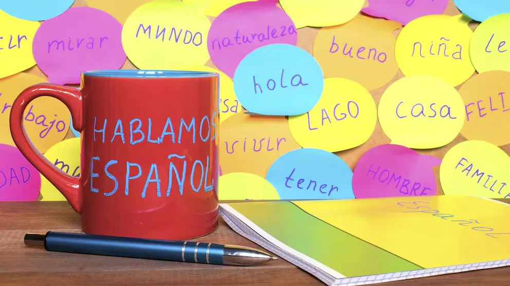 WhatsApp Image 2025-12-14 at 18.35.01