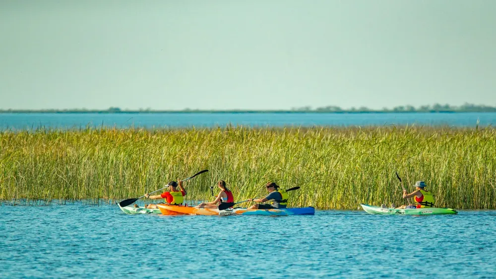 WhatsApp Image 2025-05-24 at 16.13.20