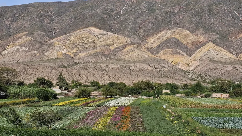 WhatsApp Image 2025-05-24 at 16.17.39